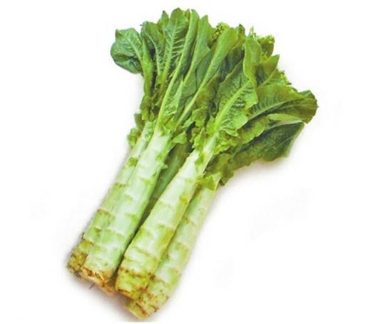 鮮活蔬菜送到家，成都配送最快！(54 characters)