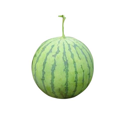 蔬菜配送公司納稅攻略大揭秘！